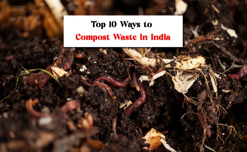 Top 10 Ways to Compost Waste in India