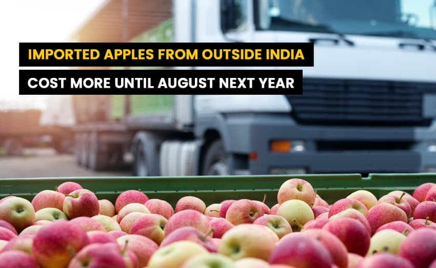 Imported apples from outside India will cost more until August next year