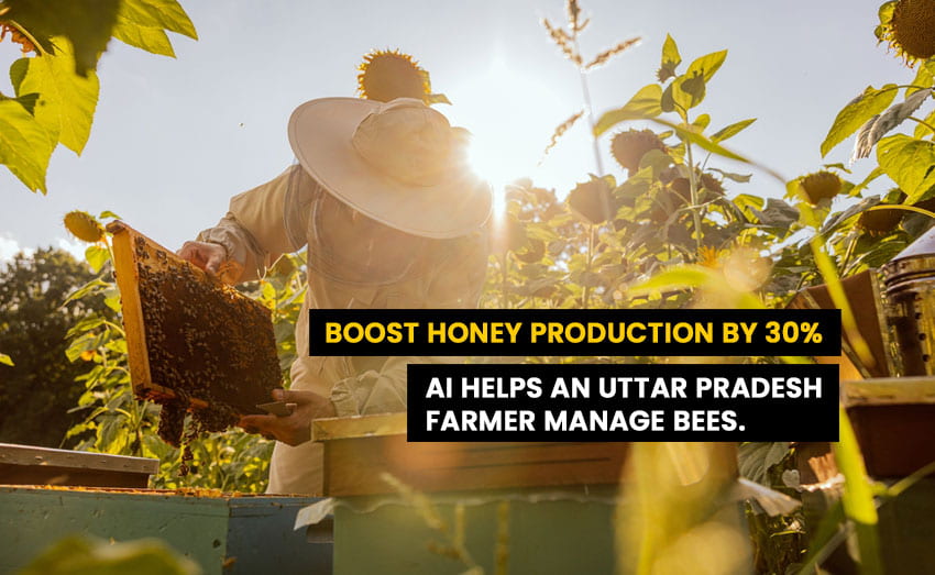 A young farmer comes up with an AI-based way to make 30% more honey