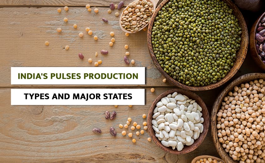 India's pulses production: Types and Major States