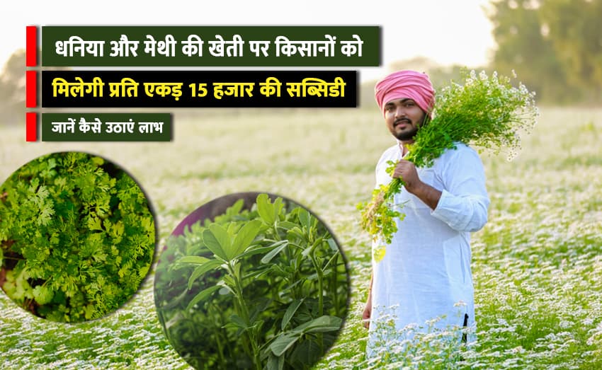 Grant of Rs. 15,000 to farmers who grow coriander and fenugreek in their fields