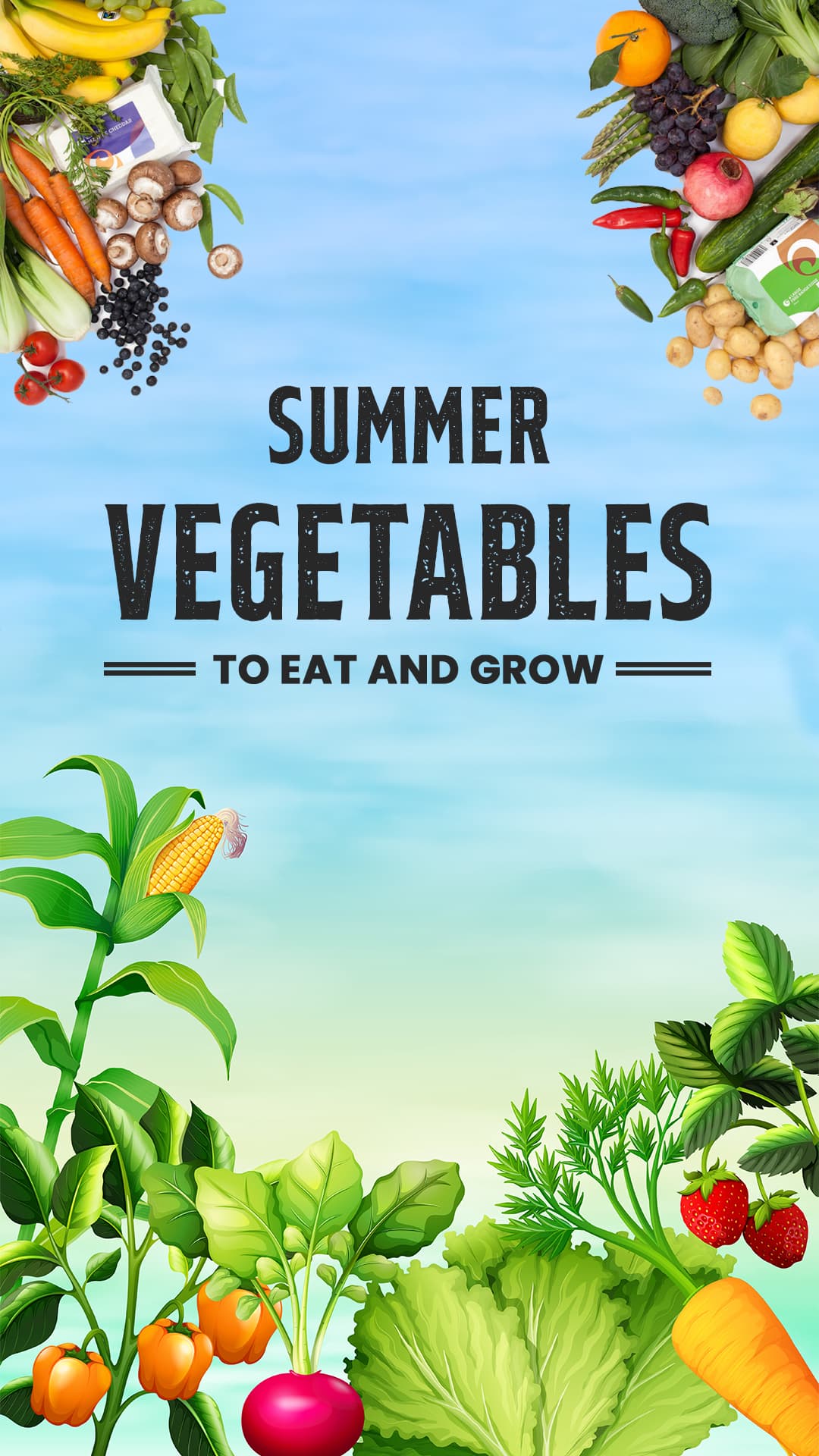 Summer Vegetable