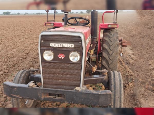 Tafe (Massey) Massey Ferguson 241 DI