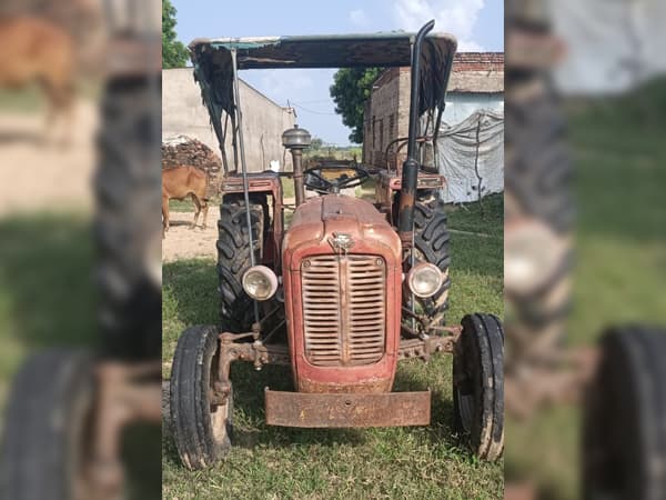 Tafe (Massey) Massey Ferguson 1035 DI