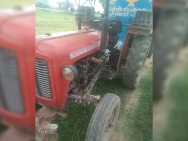 Tafe (Massey) Massey Ferguson 1035 DI