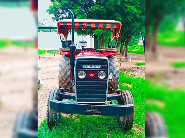 Tafe (Massey) Massey Ferguson 245 DI