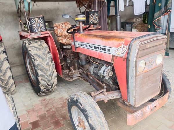 Tafe (Massey) Massey Ferguson 245 DI