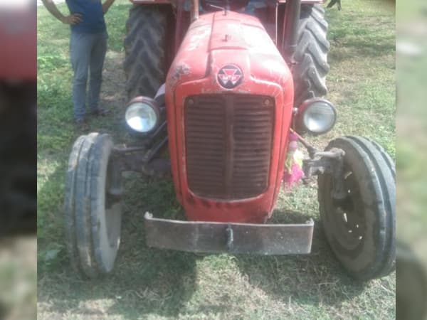 Tafe (Massey) Massey Ferguson 1035 DI