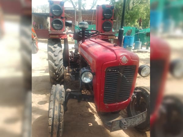 Tafe (Massey)Massey Ferguson 1035 DI