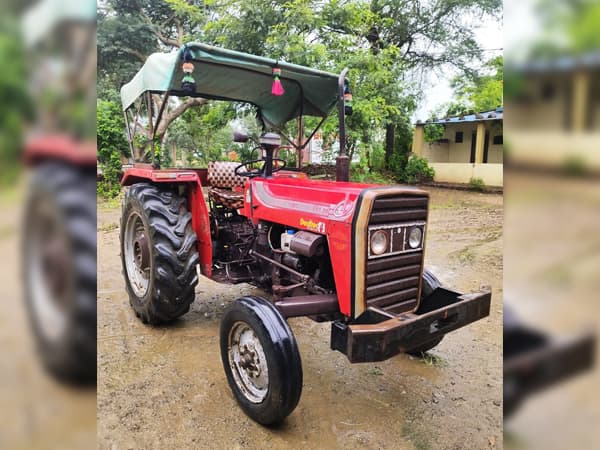 Tafe (Massey) Massey Ferguson 241 DI MAHA SHAKTI