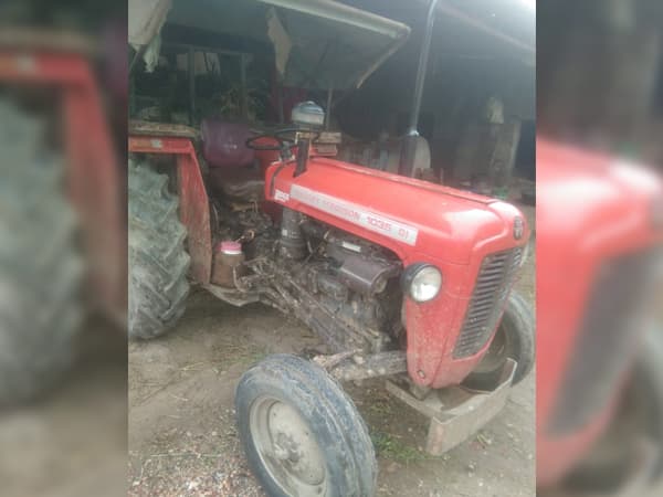 Tafe (Massey)Massey Ferguson 1035 DI