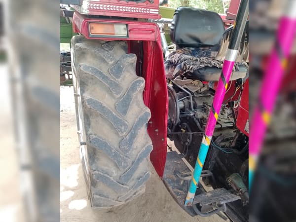 Tafe (Massey) Massey Ferguson 241 DI