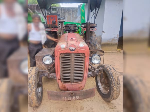 Tafe (Massey) Massey Ferguson 1035 DI