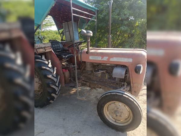 Tafe (Massey)Massey Ferguson 1035 DI