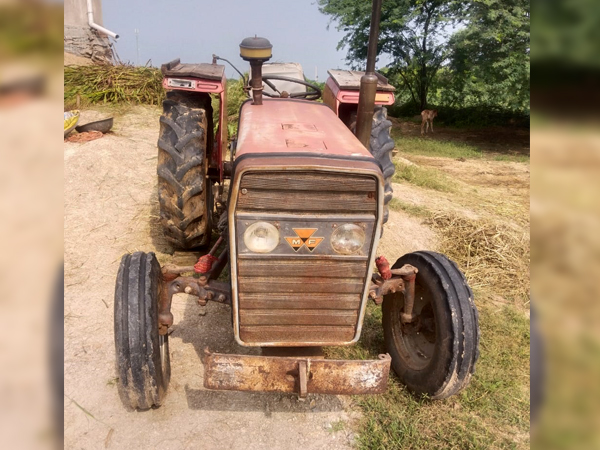 Tafe (Massey) Massey Ferguson 1035 DI