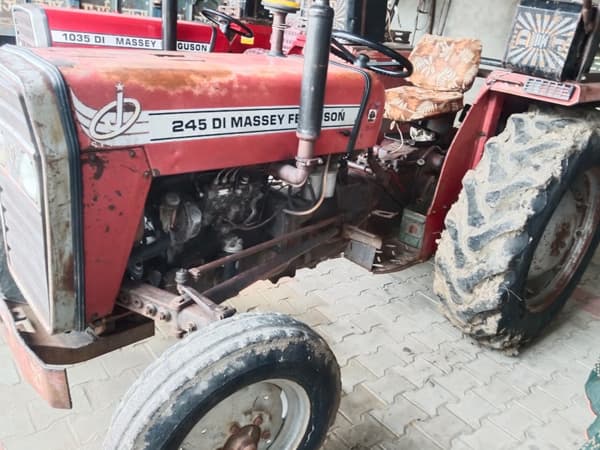 Tafe (Massey) Massey Ferguson 245 DI