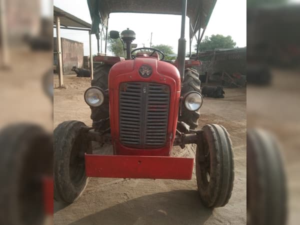 Tafe (Massey)Massey Ferguson 1035 DI