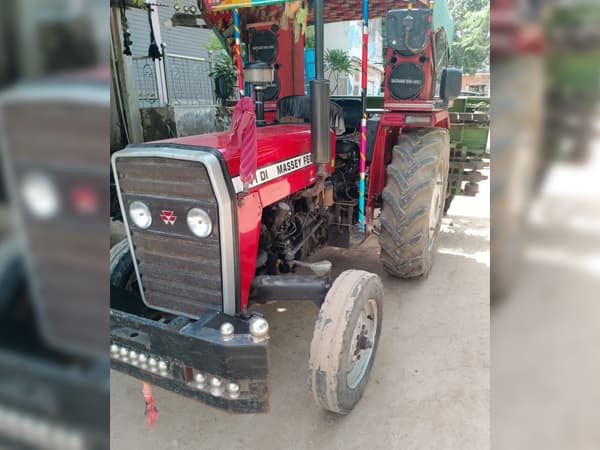 Tafe (Massey)Massey Ferguson 241 DI