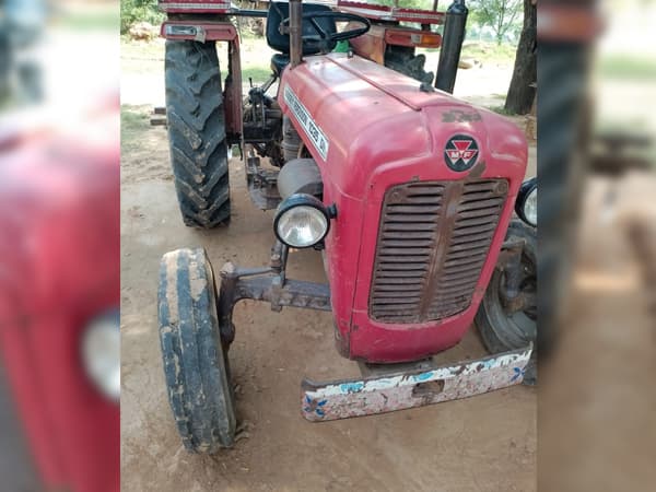 Tafe (Massey) Massey Ferguson 1035 DI