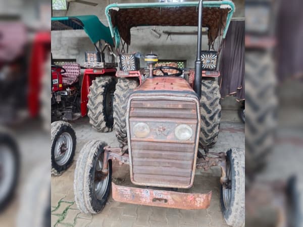 Tafe (Massey) Massey Ferguson 245 DI