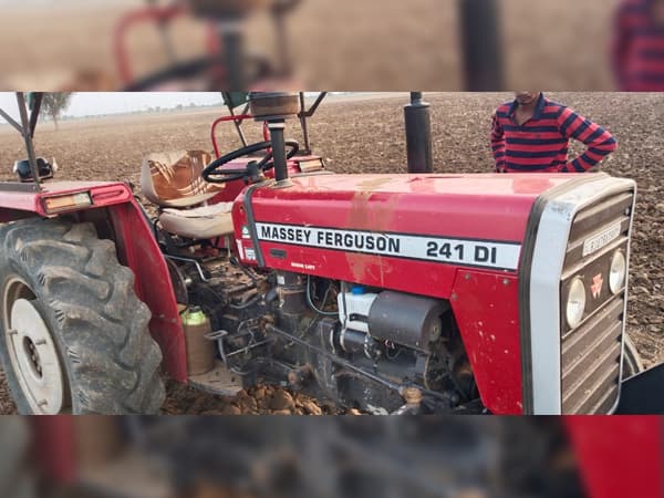 Tafe (Massey) Massey Ferguson 241 DI