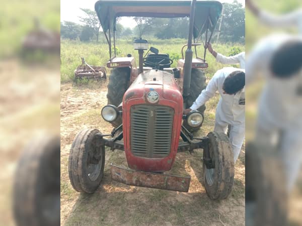 Tafe (Massey) Massey Ferguson 1035 DI