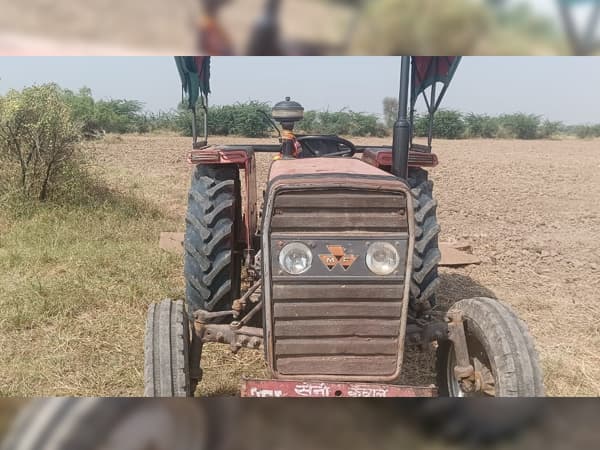 Tafe (Massey) Massey Ferguson 1035 DI