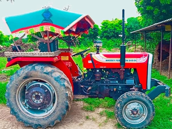 Tafe (Massey) Massey Ferguson 245 DI