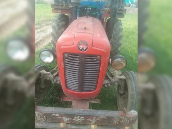 Tafe (Massey) Massey Ferguson 1035 DI