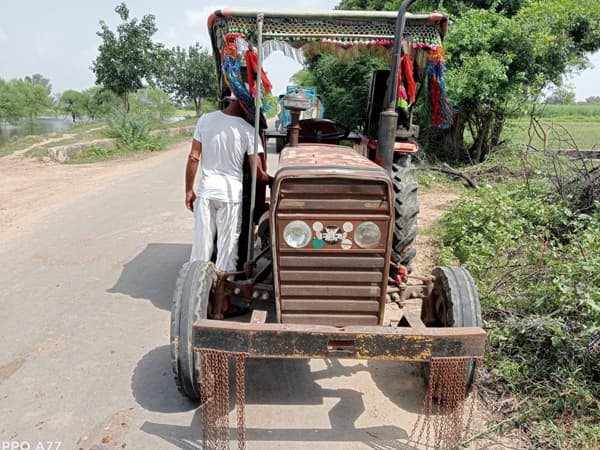 Tafe (Massey) Massey Ferguson 241 DI