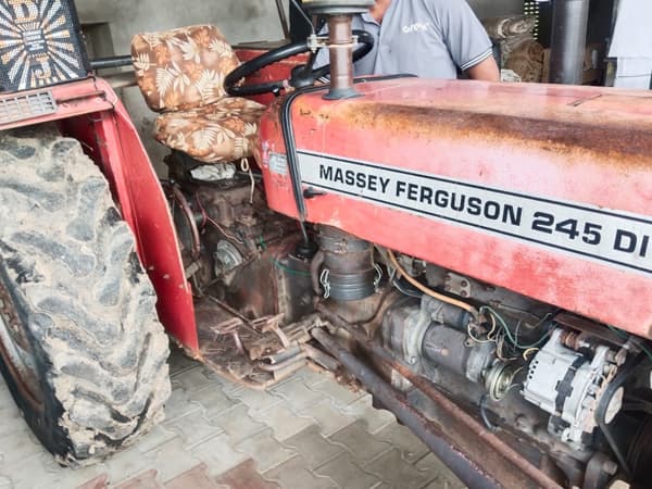 Tafe (Massey) Massey Ferguson 245 DI