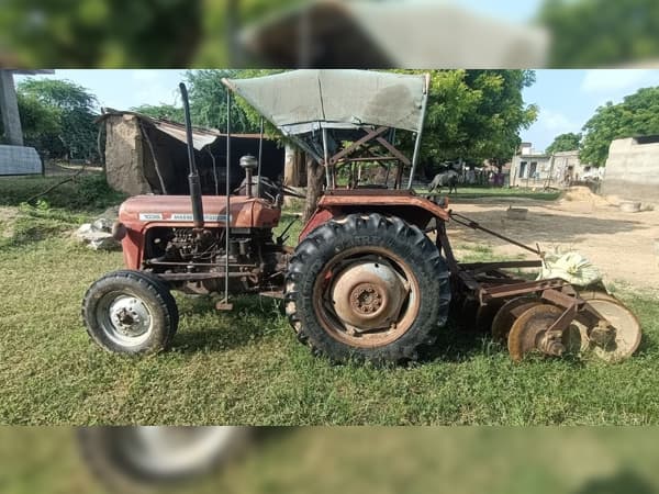 Tafe (Massey) Massey Ferguson 1035 DI